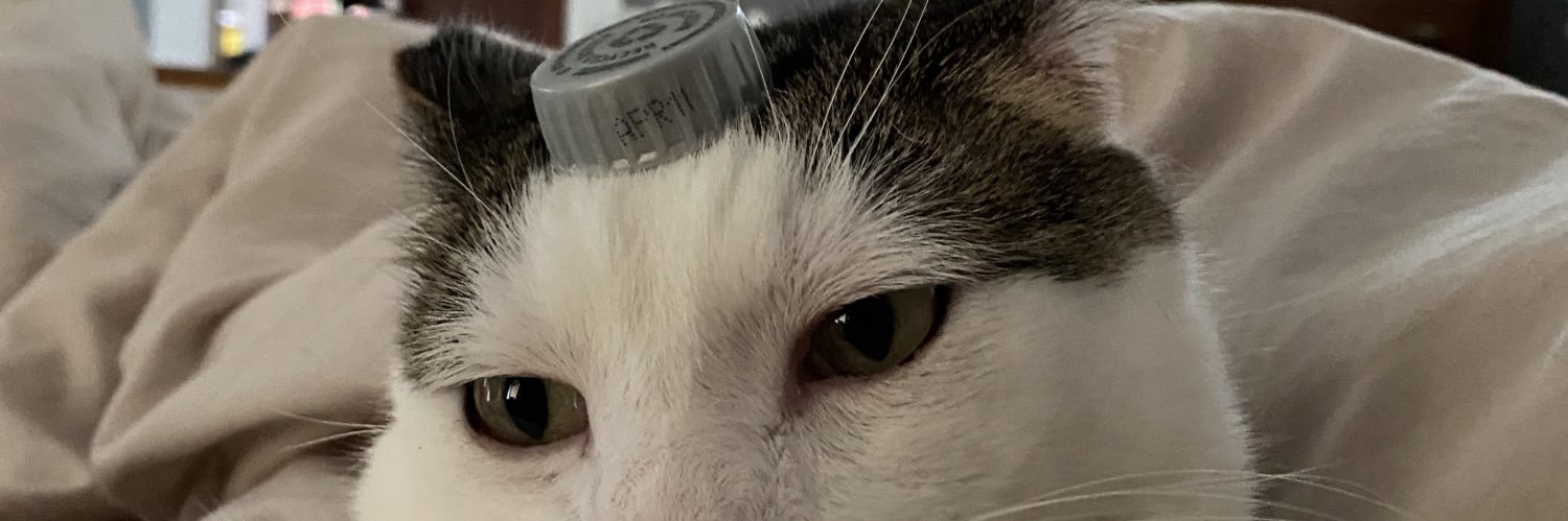kenzsewell's profile banner image