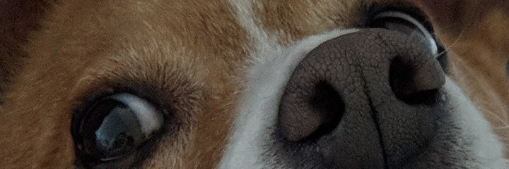 kcmdouglas's profile banner image