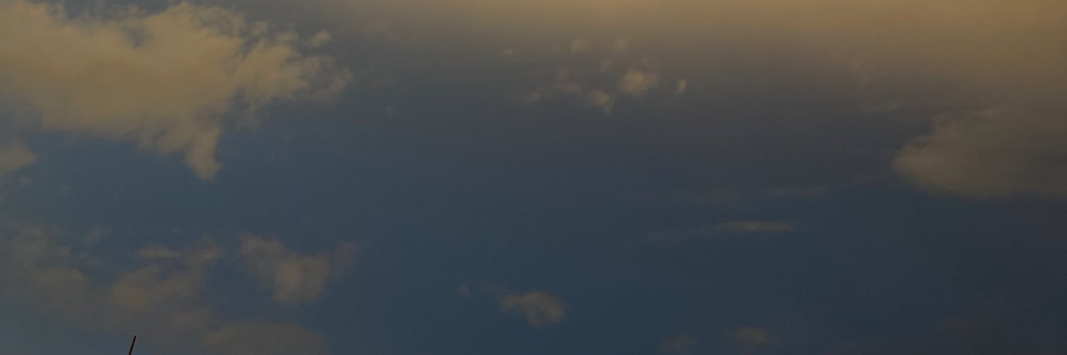 lvnjss's profile banner image