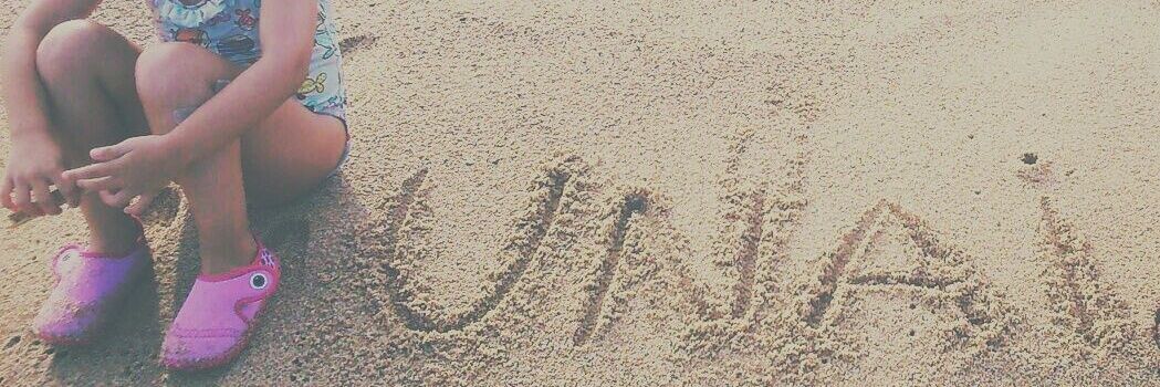 Susmulb's profile banner image