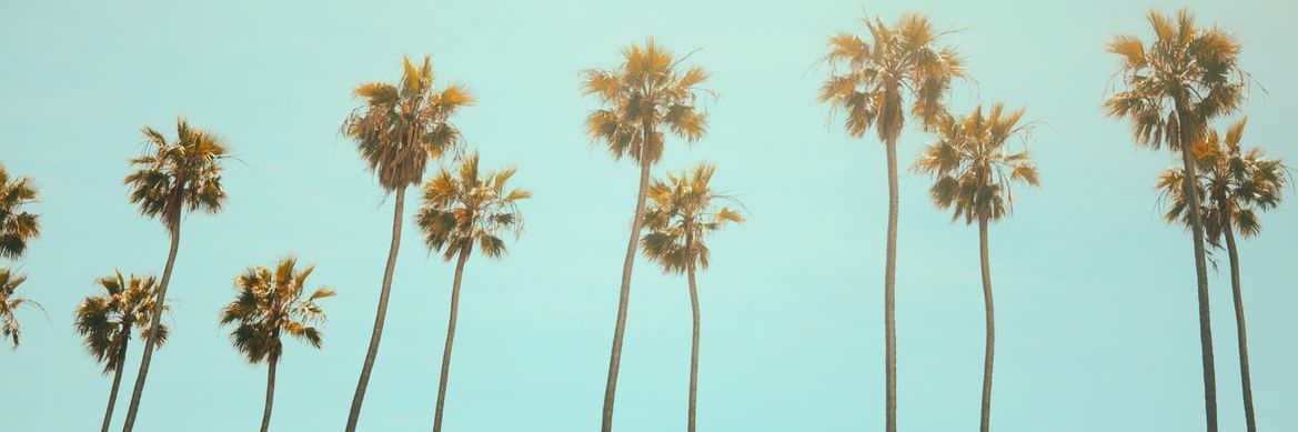 grumpyaurora's profile banner image