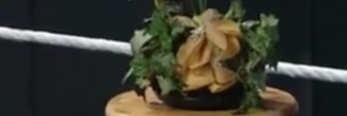 JerichosPlant's profile banner image