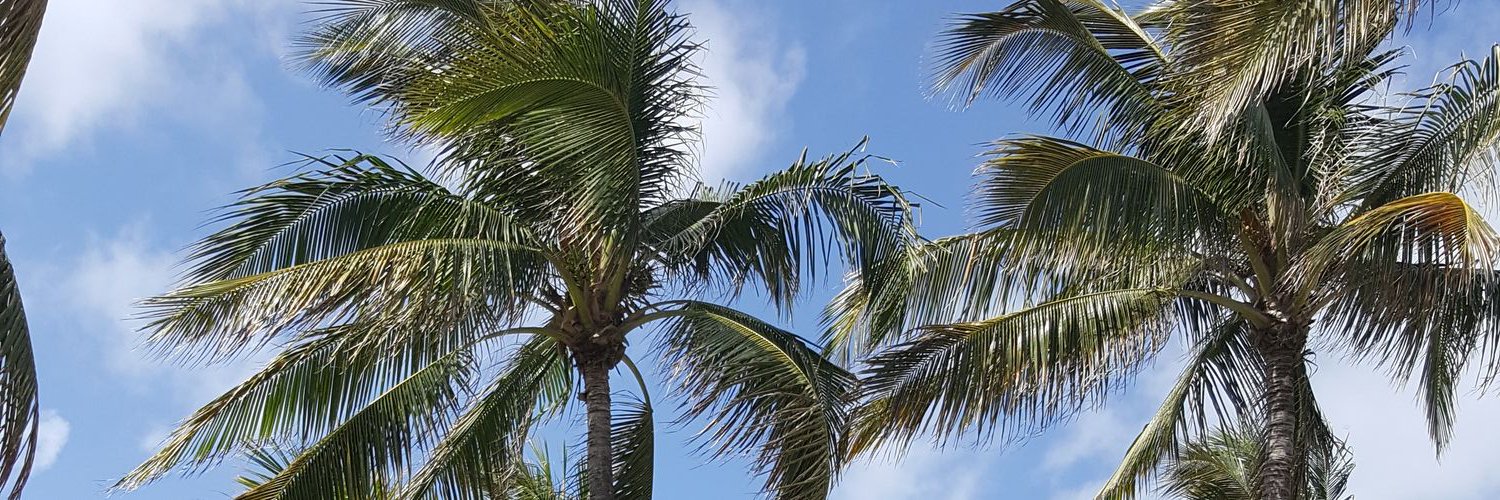 ThelabelMCR's profile banner image
