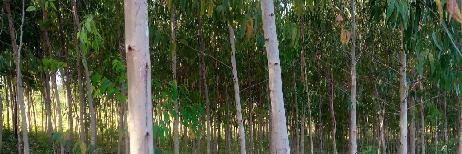 samokello15's profile banner image