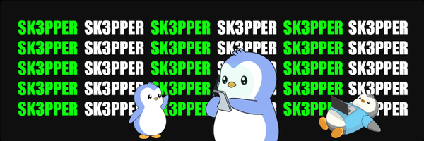 Sk3pper Profile Banner