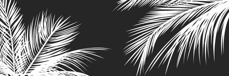 StphnXimena's profile banner image