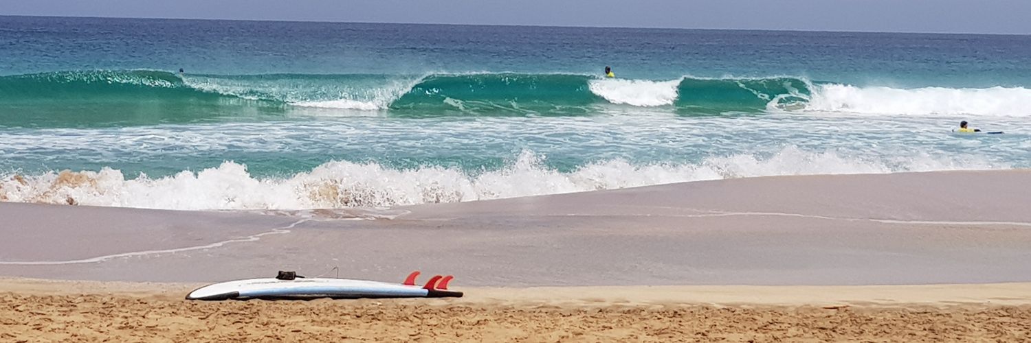 Stephane Langonnet banner