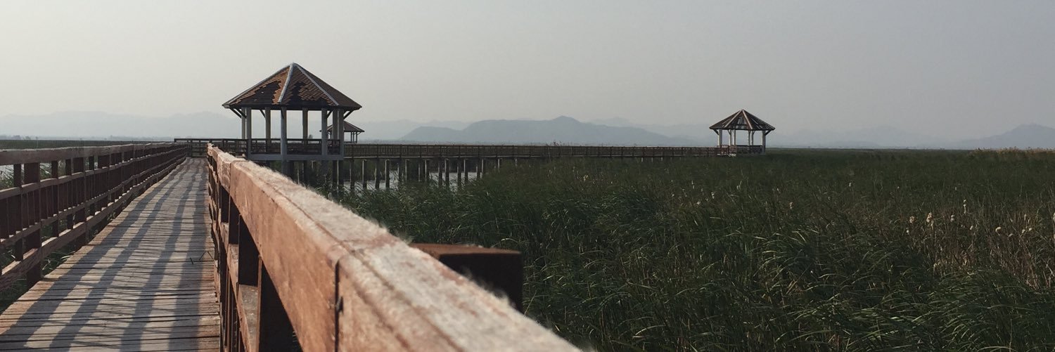 chkhimu's profile banner image