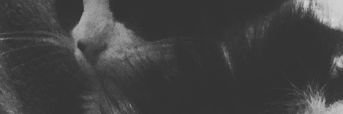 SanjayGRR's profile banner image
