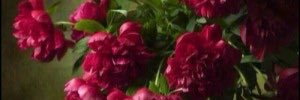 majed735's profile banner image