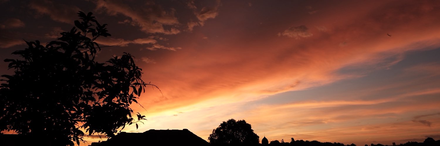 aurorii_s's profile banner image