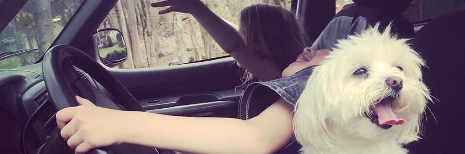 MaeleiNevaeh's profile banner image