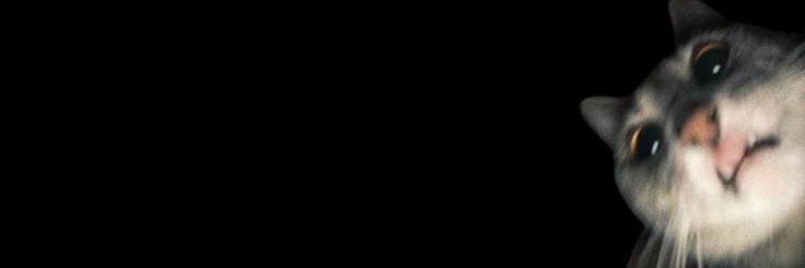 valentinocfs's profile banner image