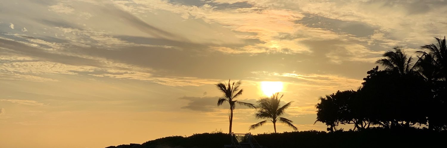 themangolady's profile banner image