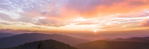 DWonSF Profile Banner