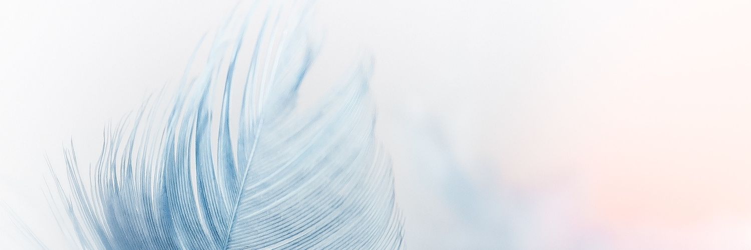 _aririka_'s profile banner image