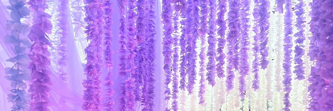 _Ivy_3_'s profile banner image