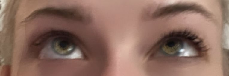 FarbenfuchsFan's profile banner image