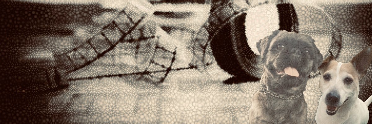 PoochAndTerrier's profile banner image