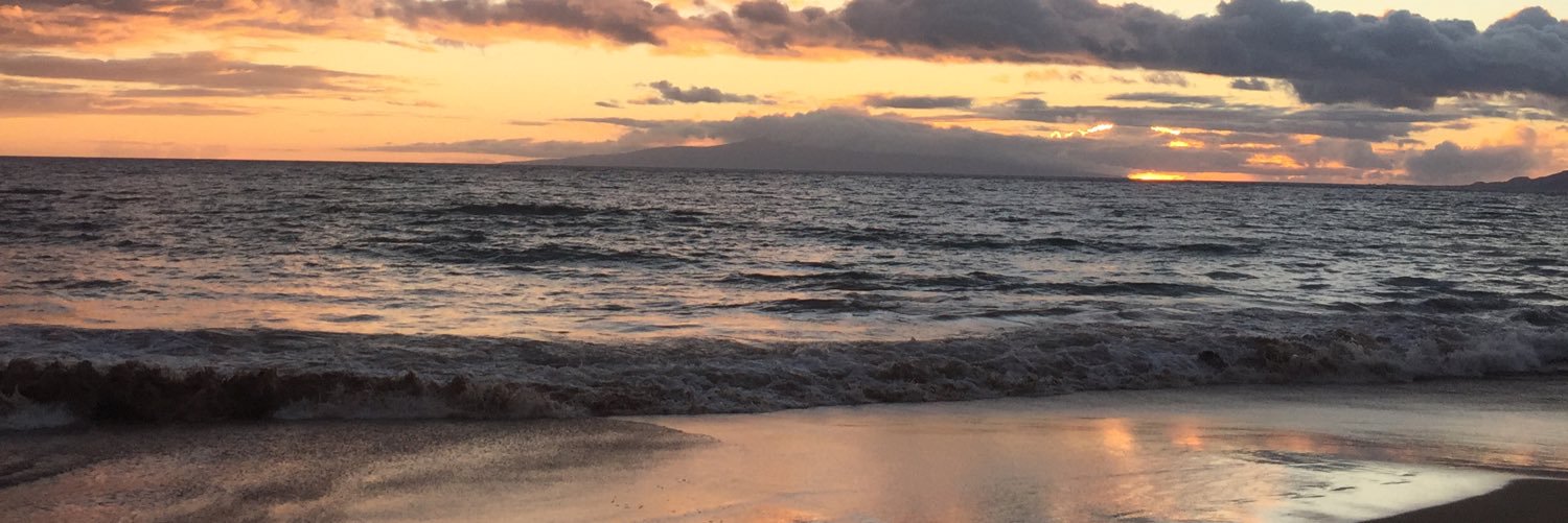 catherinemccoyd's profile banner image