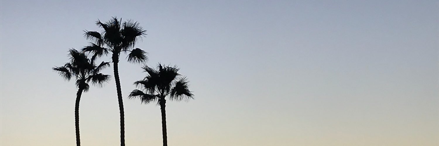 TweeterlessCass's profile banner image