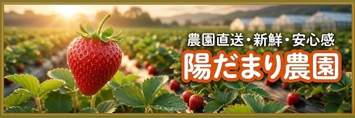 HIDAMARI_EN06's profile banner image