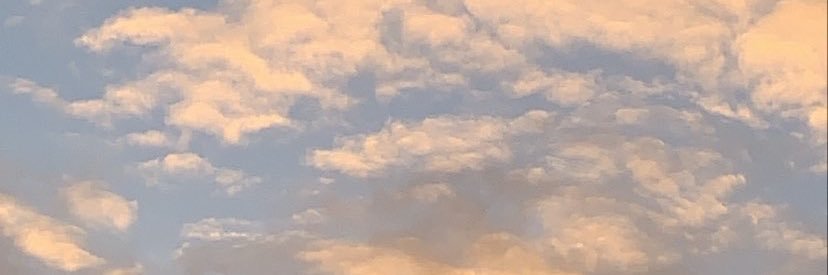 polillojj's profile banner image