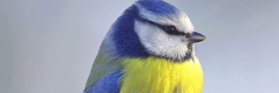 HugoTiffou's profile banner image