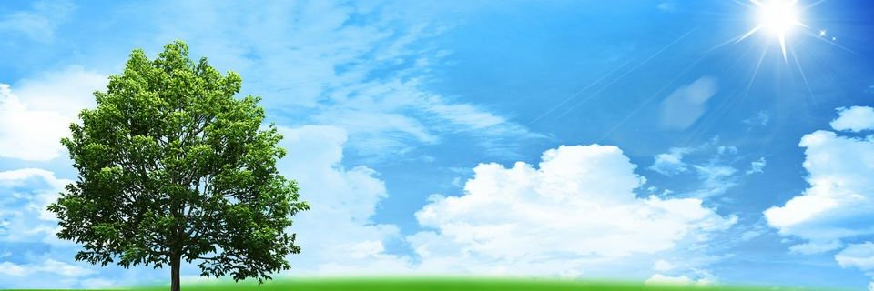 RajeshSharma53's profile banner image