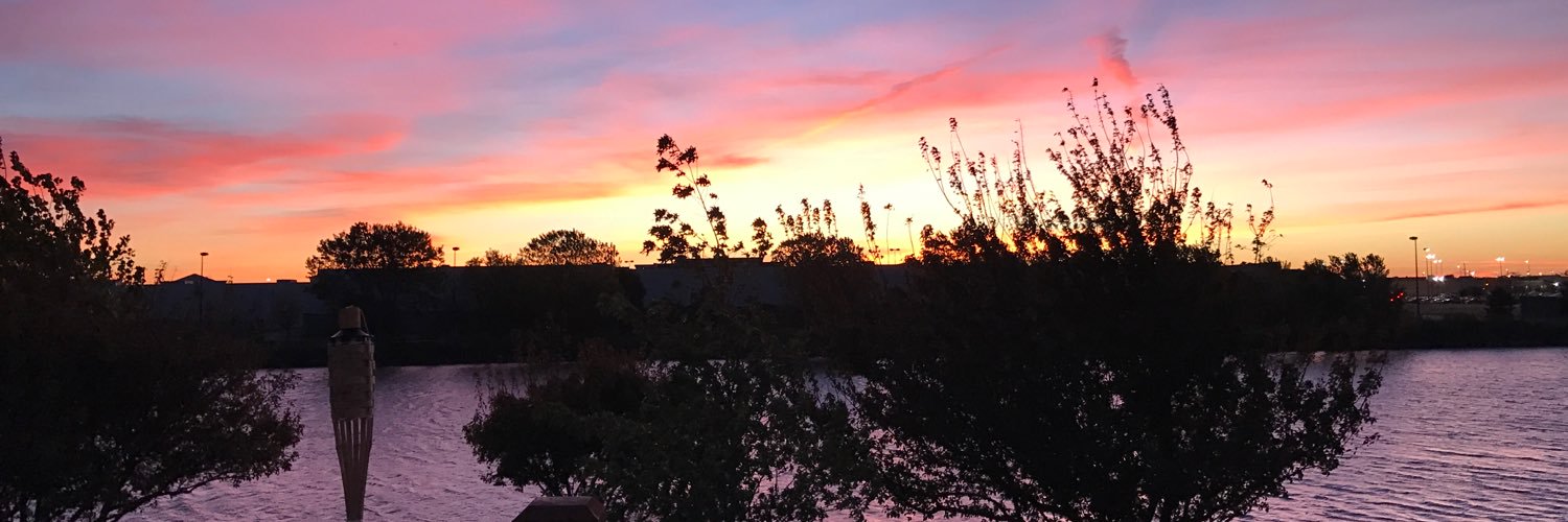 lishchatfield's profile banner image