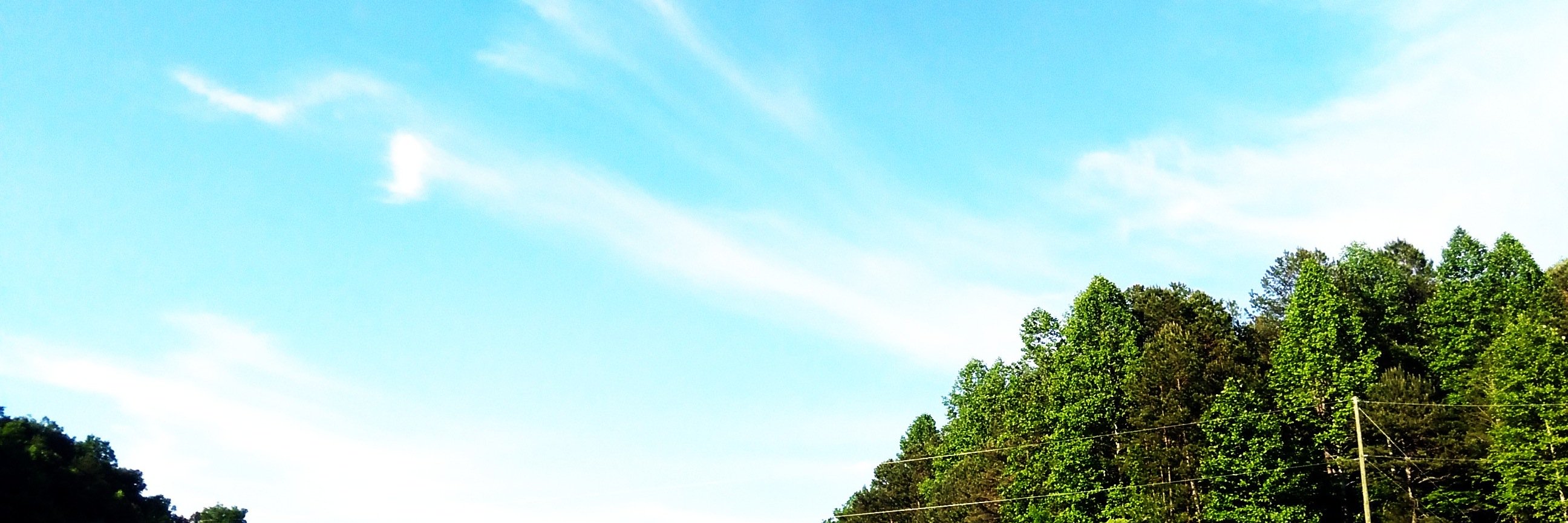 ChongWuBiostat's profile banner image