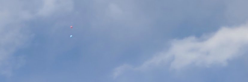 Christian Long banner