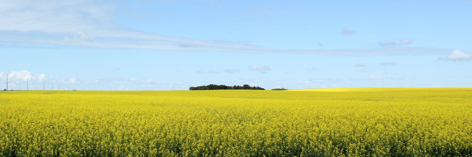 Michael Clark banner