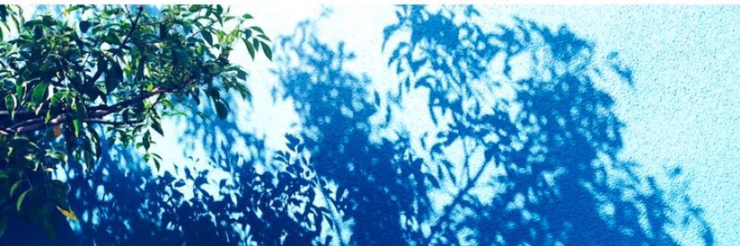 AYA17294's profile banner image