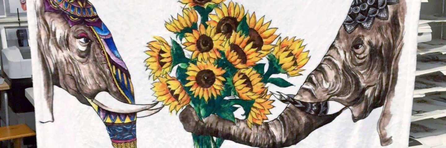 ElizabethCiaraD's profile banner image