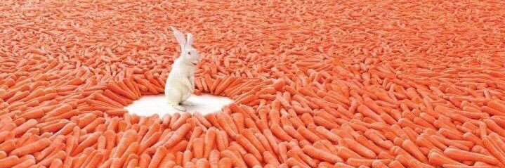 jumping johnny banner