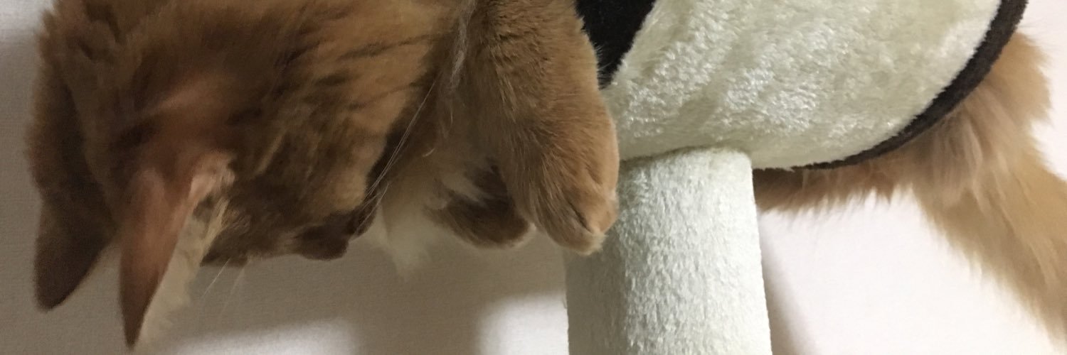 muyy45's profile banner image