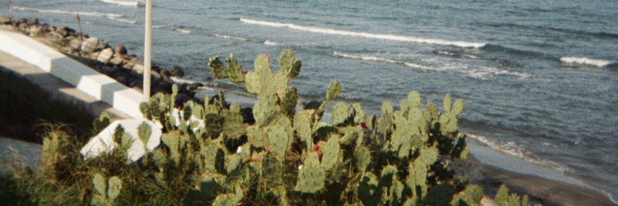 paupuent's profile banner image