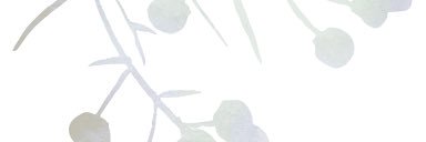 SkinSally's profile banner image
