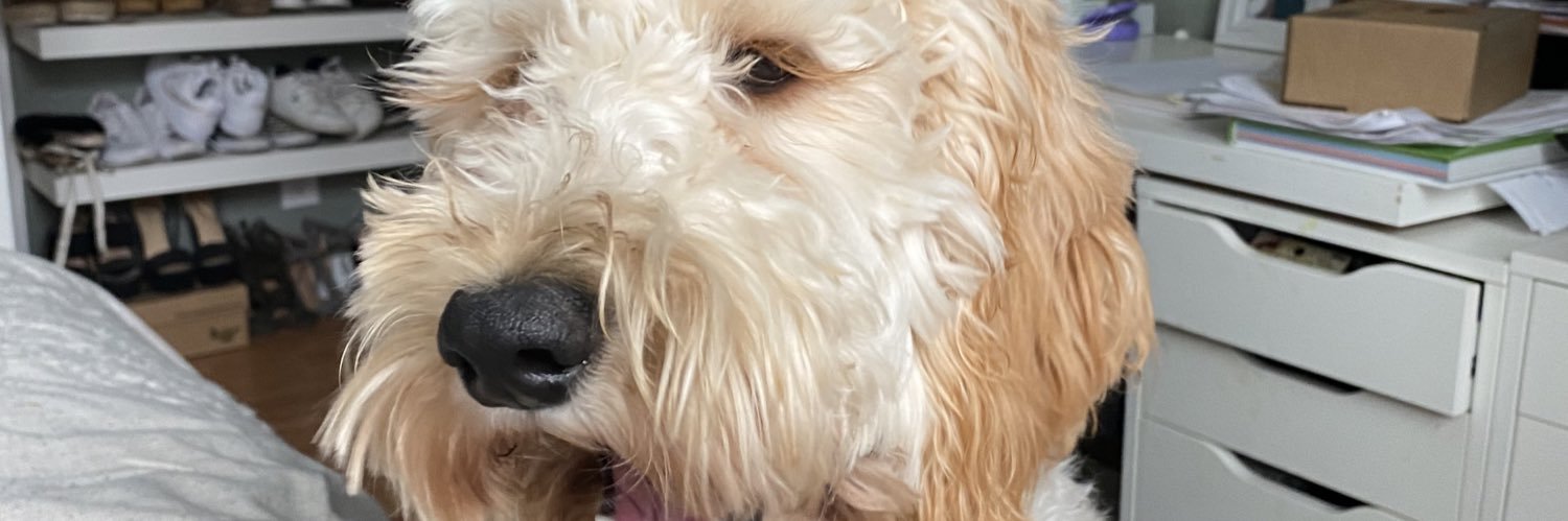 adree00's profile banner image