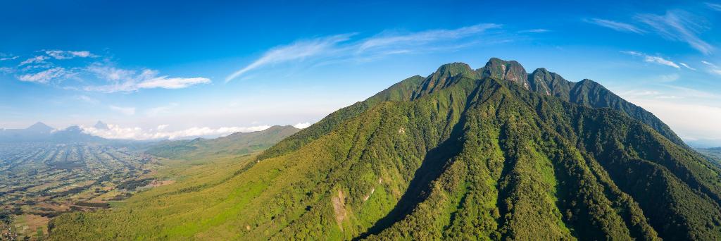 Jacqui Sebageni banner