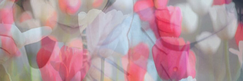 KNHLC's profile banner image