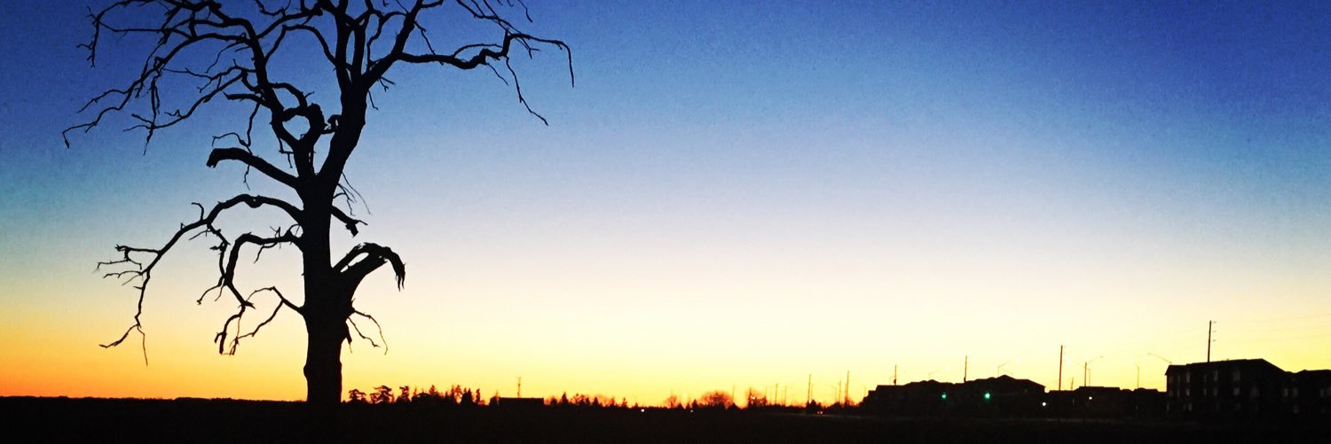 DenishaBrand's profile banner image