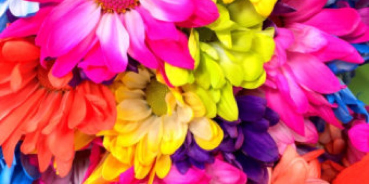 Rebeccaa_Leigh's profile banner image