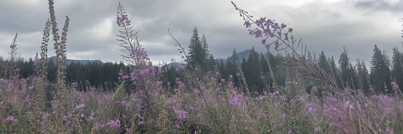 douglasjharding's profile banner image