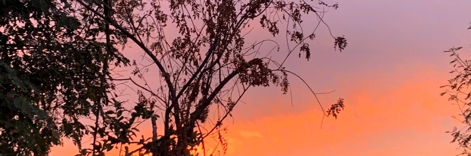 fernandaran2102's profile banner image