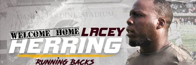 Lacey Herring banner