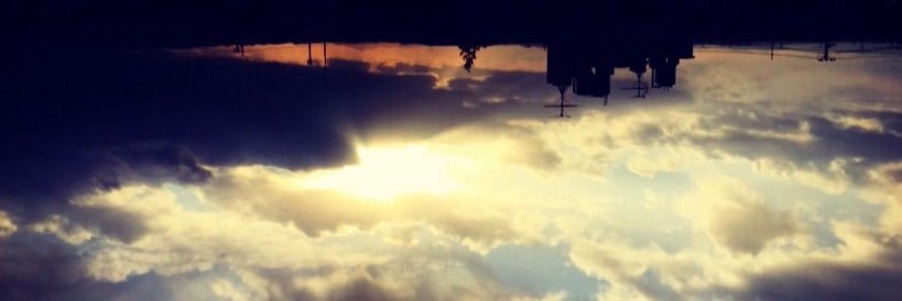 _______shida_'s profile banner image