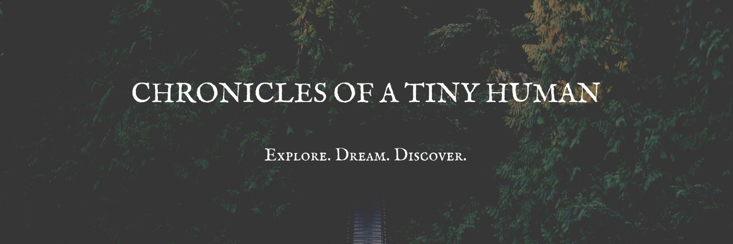 ChroniclesOfaTH's profile banner image