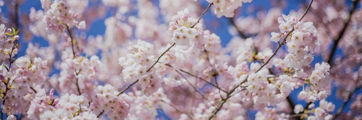 Kelli Thoresen banner